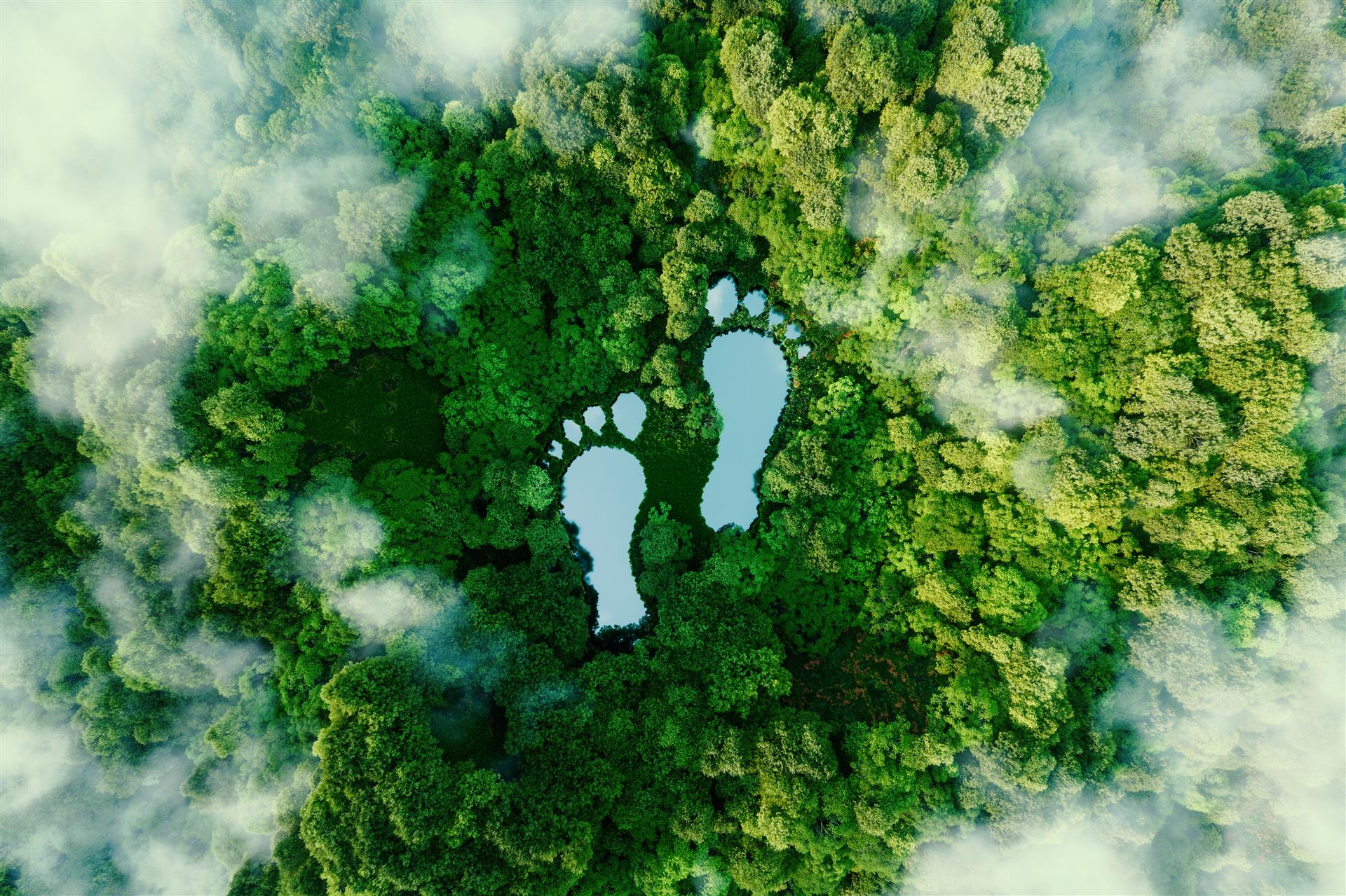 AdobeStock_footprint_Fuji.jpeg