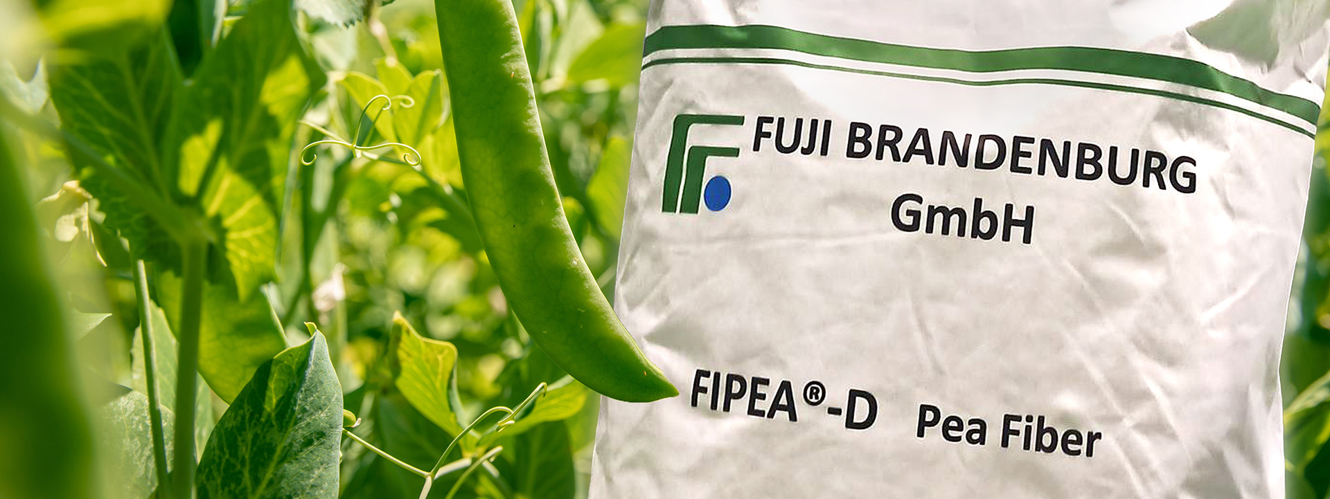 Fuji-Brandenburg_Header_Startseite.jpg
